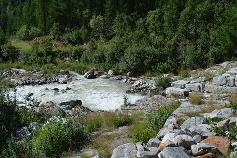 Torrente Anza